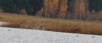 IMG_8466.jpg