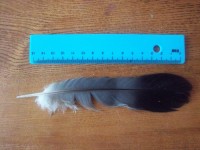 100_13971.jpg