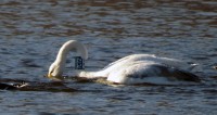 IMG_8508.jpg