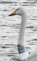 IMG_0750.jpg
