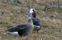 IMG_0223.jpg