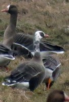IMG_0224.jpg
