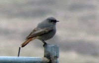 IMG_0361.jpg