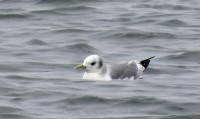 IMG_0545.jpg