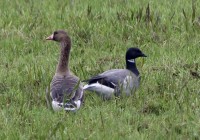 IMG_1162.jpg