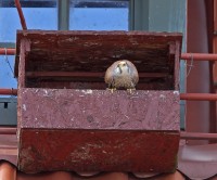 aabIMG_5209.jpg