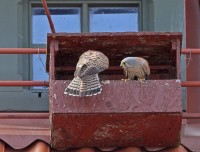 aabIMG_5214.jpg
