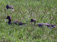 IMG_1901.jpg