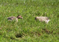 IMG_1934.jpg
