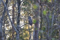DSC_2777.JPG