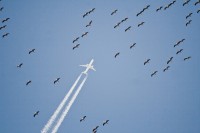 IMG_7323_1.JPG