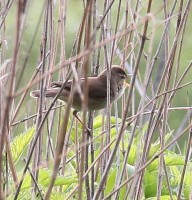 IMG_3328.jpg