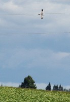 IMG_4481.jpg