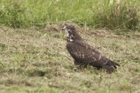 IMG_3060.JPG