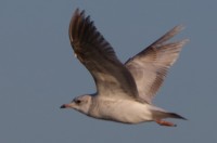 IMG_9660.jpg