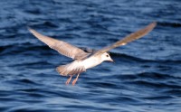 IMG_9687.jpg