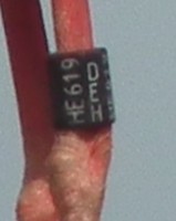 B.G. HE619 ziedas.jpg